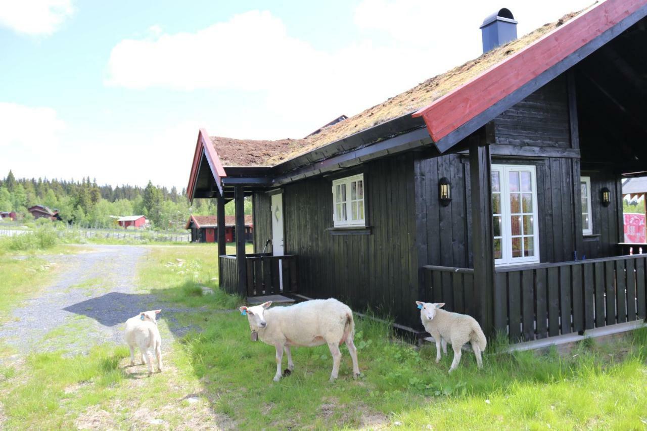 Villa Gamlestolen Fjellstue Etnedal Esterno foto
